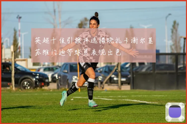 英超十佳引援评选揭晓扎卡谢尔基苏维门迪等球员表现出色